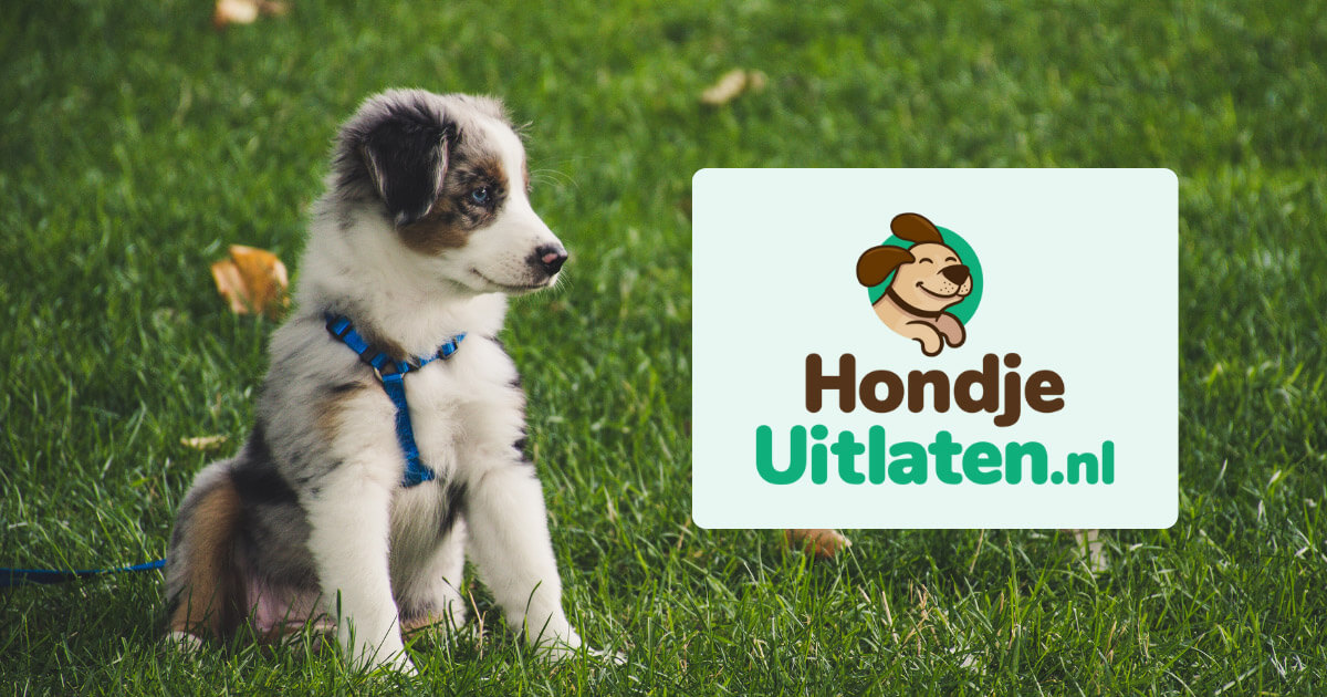 Jette wil graag een hond uitlaten in Breda Hondjeuitlaten.nl